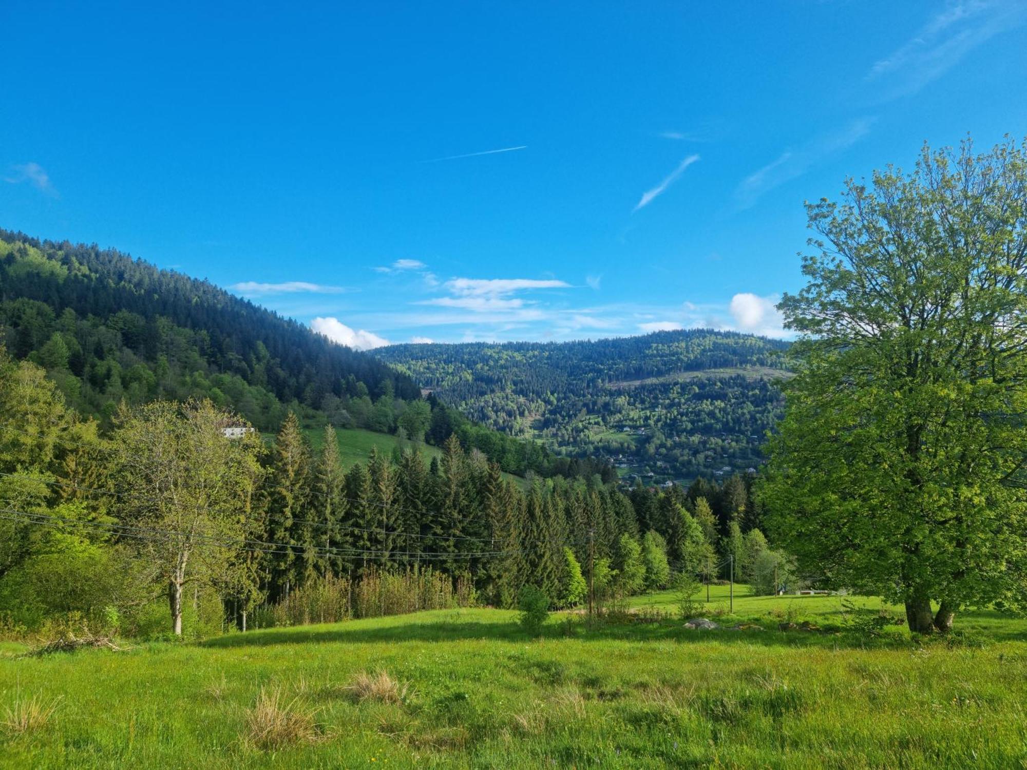 Chalet Terejo & Spa Ventron Luaran gambar